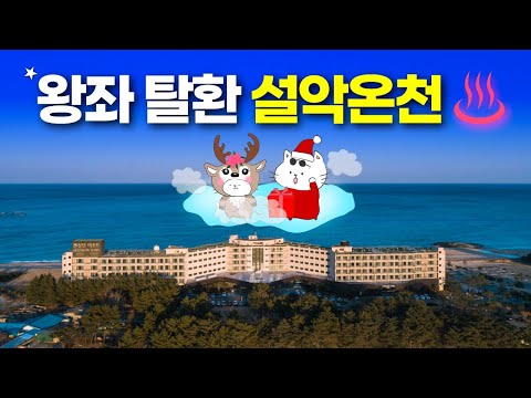 Kensington 설악비치 리조트: 혁신적 변신과 완벽한 속초 여행 가이드