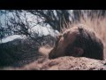 THE SWORD - Cloak of Feathers | Napalm Records