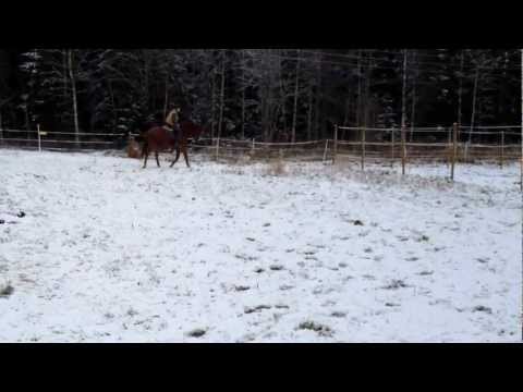 2012 11 09 Patriot Rehabilitation