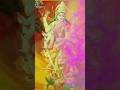 Holi Khele Mahamaya Bhawan Mein Status Holi Khele Holi Holispecial Status Maa Mata Shorts