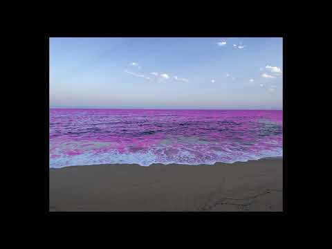 PiNK KARDASHiAN - Mi AMOR..💔 (VISUALIZER)