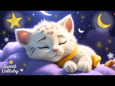 Relax In No Time video