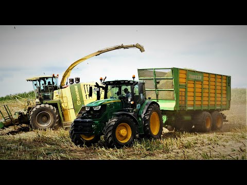 Mais Häckseln wo sind bloß die Jäger die Wildschweine die sind Da 4K