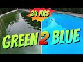 Green to Blue Pool in 24 hours: How to Clean a Green Pool: Pool Cleaning: Cleaning a Swimming Pool