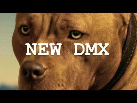 Tony- New DMX(prod.RAWBONE)