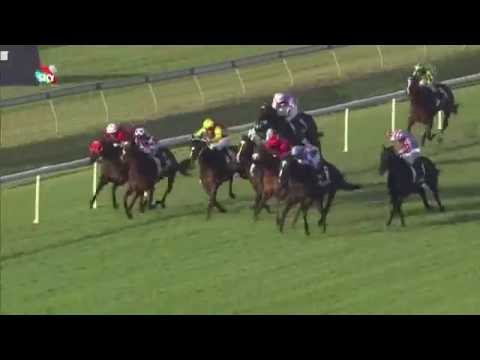 Music Magnate winning Doomben 10,000