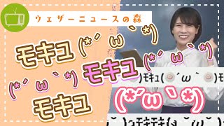 モキュモキュ(*´ω`*)モキュモキュ(*´ω`*)モキュモキュ(*´ω`*)【戸北美月】【切り抜き】ウェザーニュースの森【ウェザ森】