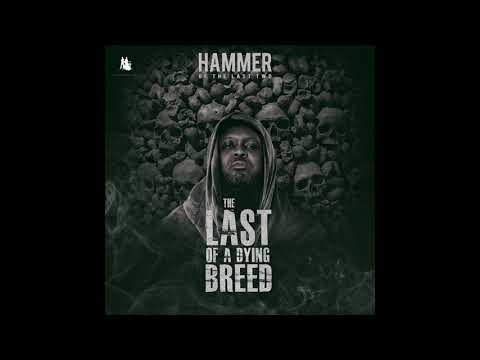 Hammer of The Last Two- Effortless (feat. Teephlow, Medikal, Pure Akan, Worlasi) (Artwork Audio)