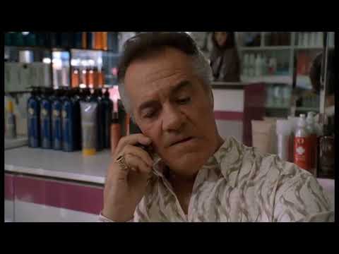 The Sopranos (1999–2007) Pine Barrens: Tony asks Paulie to pick up money for Sil (funniest episode)
