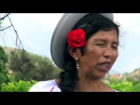 Avance programa Julia Ramos