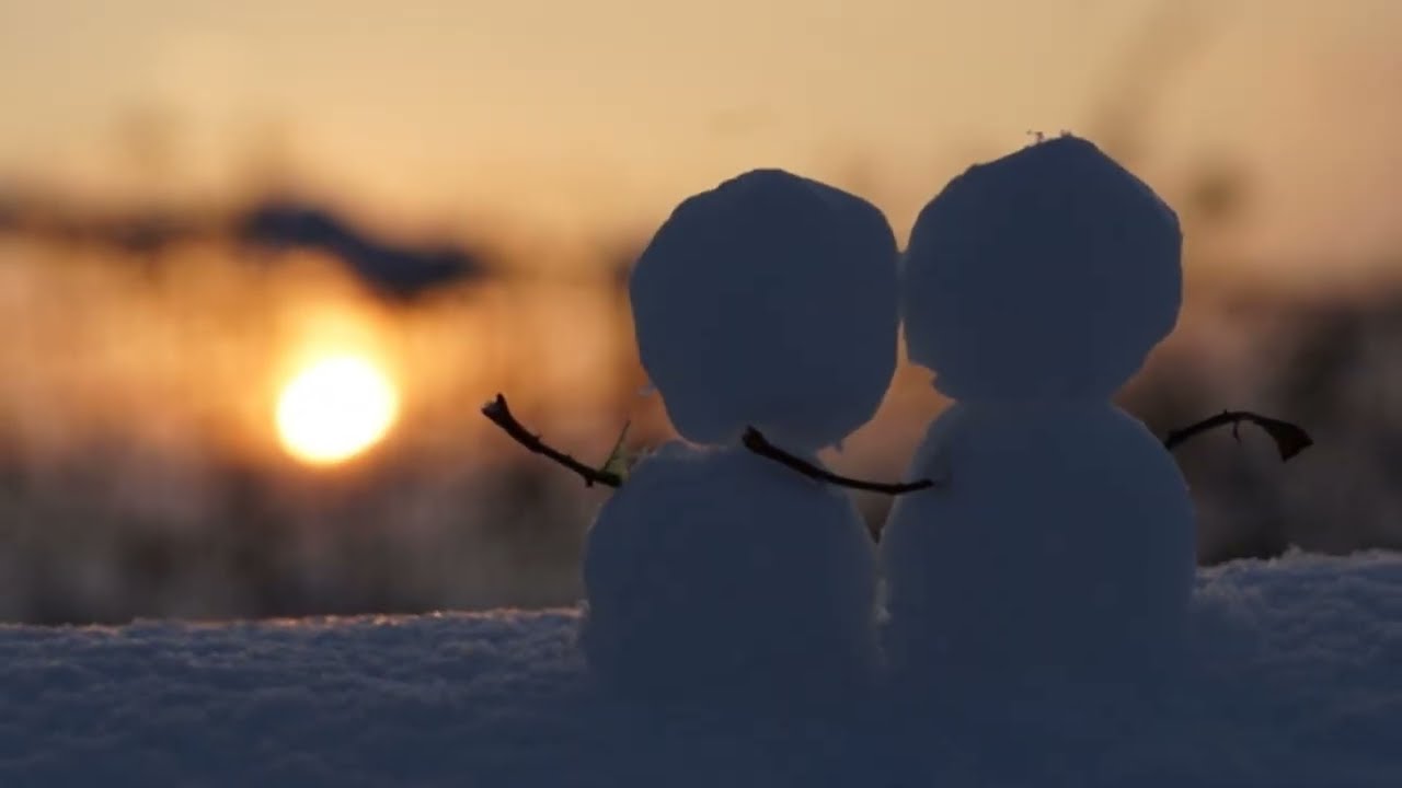 私は忘れない｜岡崎友紀