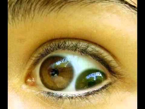 Mauek.TBTJ - Oczami Prawdy