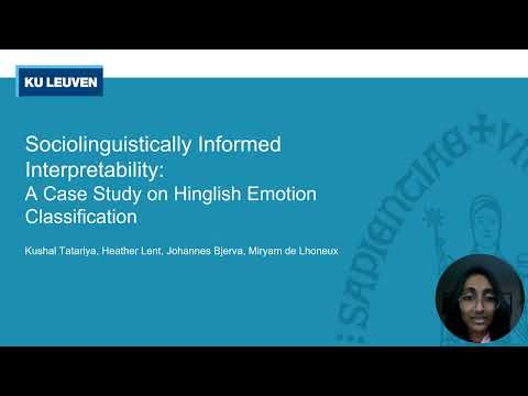 Sociolinguistically Informed Interpretability: A Case Study on Hinglish Emotion Classification