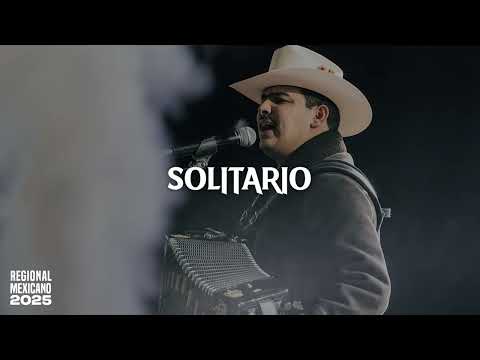 MIX - Solitario - Virlán García, Panter Bélico, Ramo Buchón, GPI🎵☠️ - Exitos de Moda