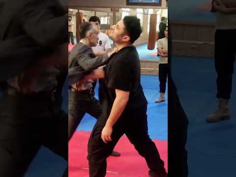 REAL self defense Training in Action – by Grand Master Ali Rostami