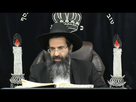 הלכות בשר בחלב - א' - לא תבשל גדי בחלב אמו 🥛 יורה דעה - סימן פז | חלק 29 | הרב שי עובד