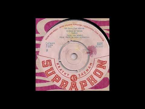 Jan Werich - Bleška a veška