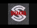 Shakra - Who's Got The Rhythm 