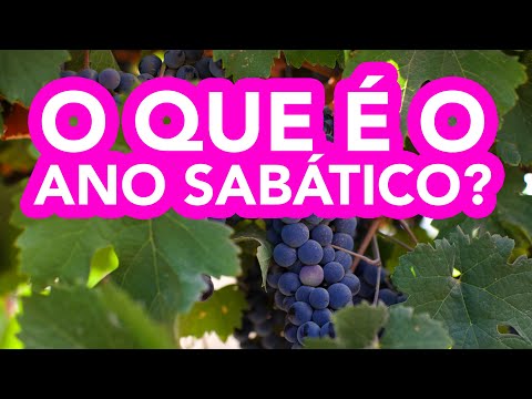 O Ano Sab&aacute;tico est&aacute; come&ccedil;ando - Shenat Shemita - Notícias de Israel direto de Sião pelo Cafetorah