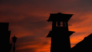 動画4