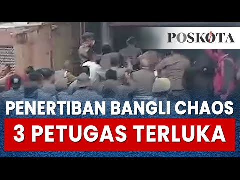 Penertiban Bangli Ciawi Chaos, 3 Petugas Gabungan Terluka