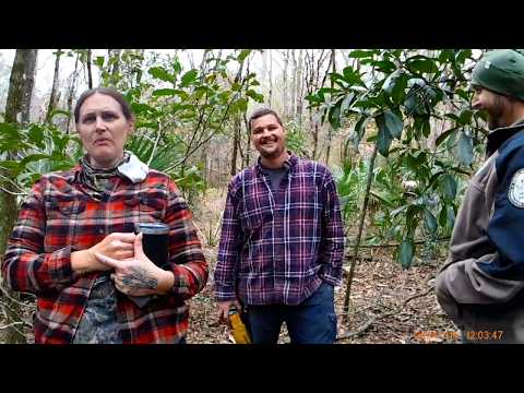 Illegal Archaeological Excavation in Florida Leads to Arrest