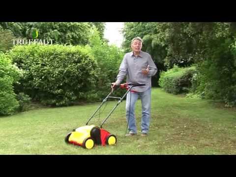 comment traiter la mousse dans la pelouse