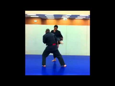 Kitsune Ryu Bujitsu - Adult White Belt Blocking Angles 1-4