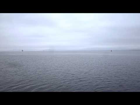 Sea Song - Mop Meuchiine Play Robert Wyatt