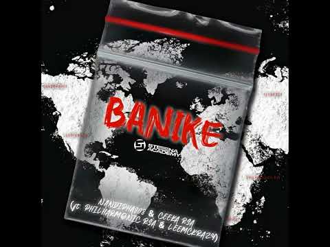 Nandipha808 & Ceeka RSA - Banike (feat. Philharmonic & LeeMckrazy)