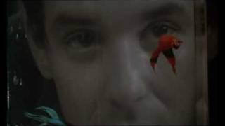 Speak my language - Rumble Fish