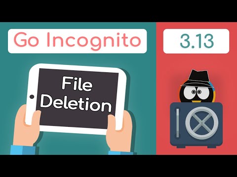How To Delete Files Securely | Go Incognito 3.13 - Techlore