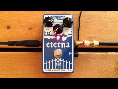 5 Minutes with the Mr. Black Eterna - Pedal Demo