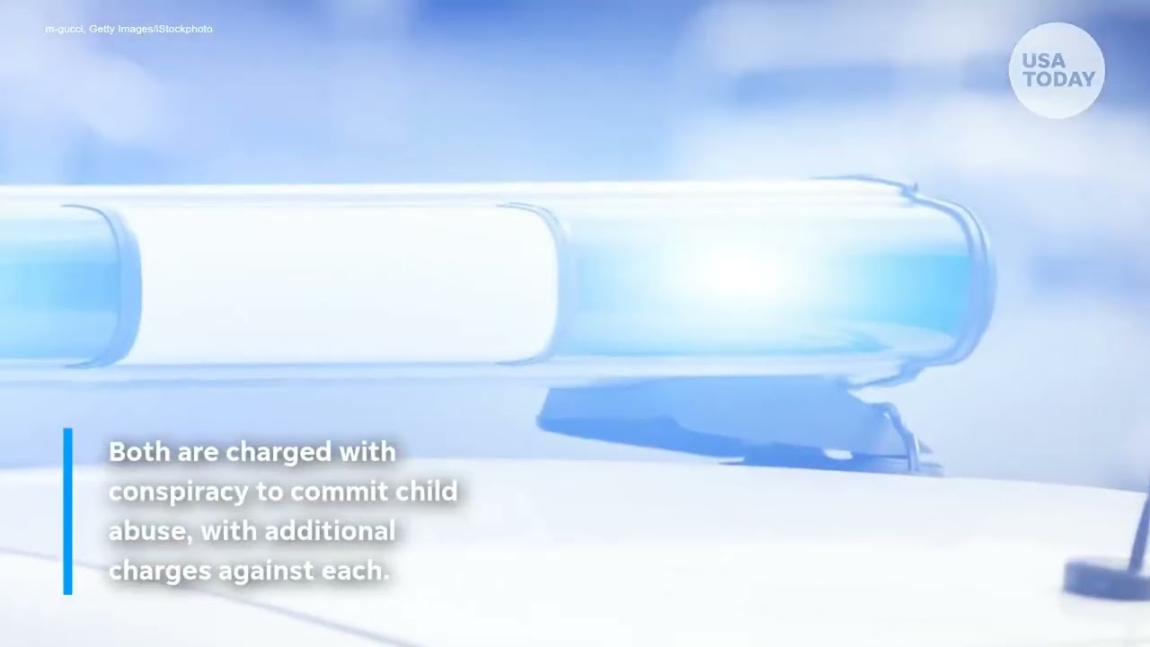 California couple in surrogacy case charged with child abuse