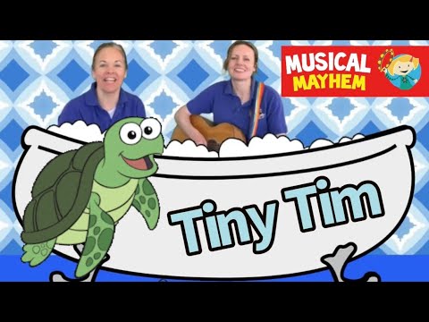 I Had A Little Turtle | Tiny Tim (with lyrics) | Kids song | Musical Mayhem
