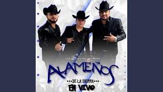 Don Juan 'El Comandante' (En Vivo) Lyrics English Translation