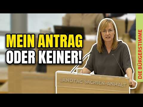 Mein Antrag oder kein Antrag - Linke für Fortsetzung des Ukrainekriegs, wenn der Frieden nicht ihren Maßstäben entspricht