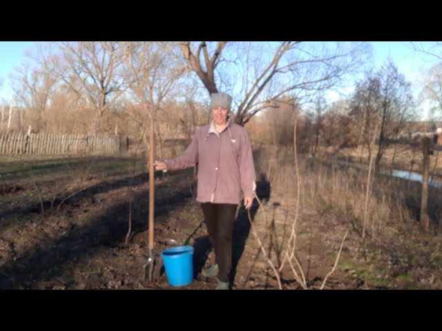 Youtube Video Youtube Video