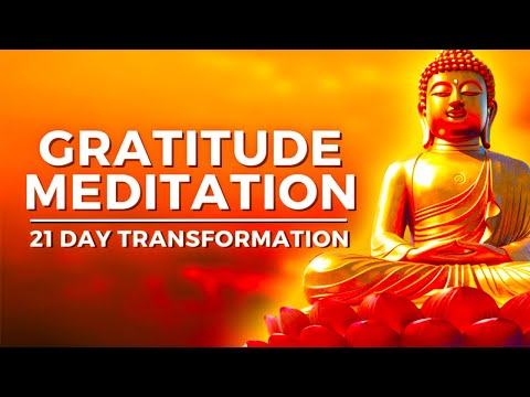 Gratitude Meditation (21 Day Journey of Thanks)