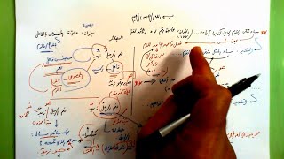 صورة 57 🔦 بصيرة علاقة المخصوص بالفاعل