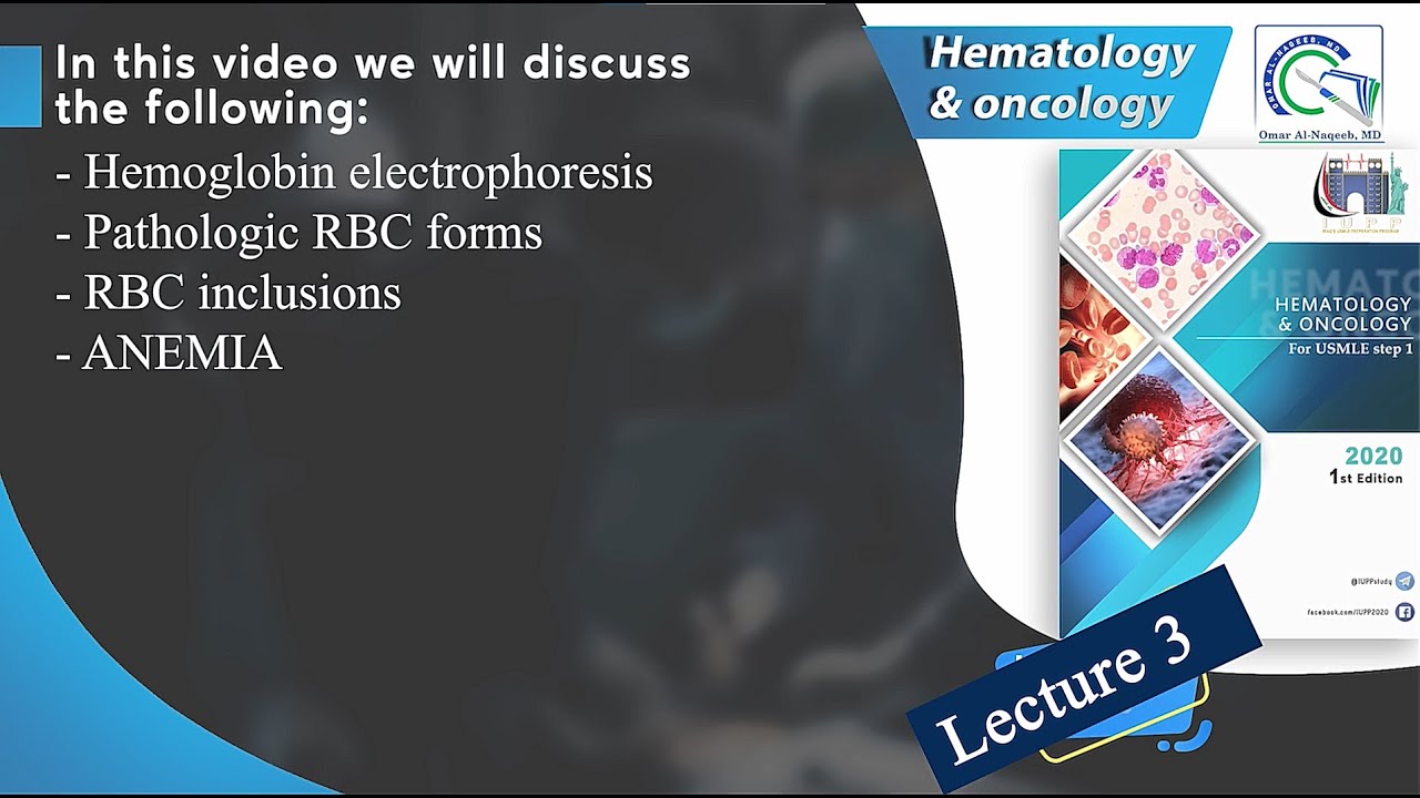Anemia, Hemoglobin electrophoresis, Pathologic RBC forms & RBC inclusions