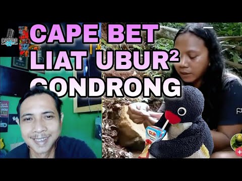 ini-dia-ubur-ubur-sungai-ada-yang-pernah-liat