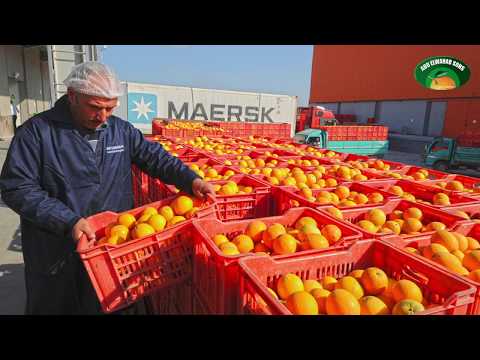 Abdel Wahab Sons Factory