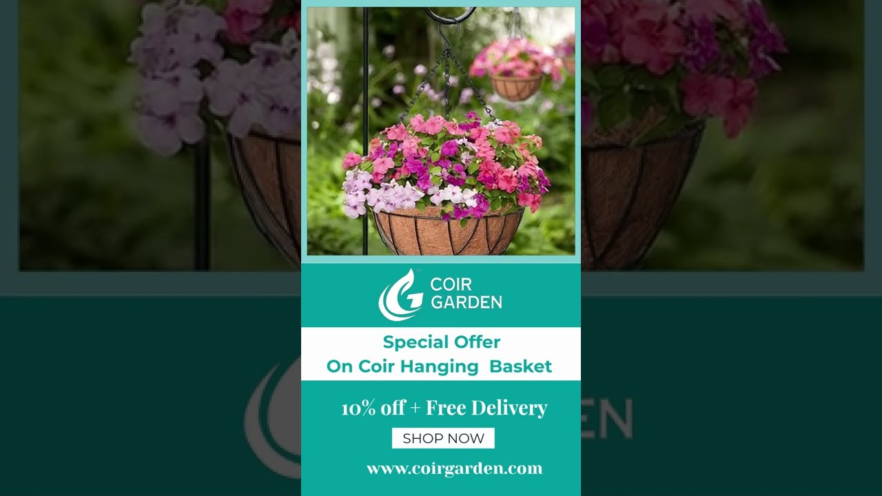 COIRGARDEN  Coir hanging baskets 12 inch 5 piece