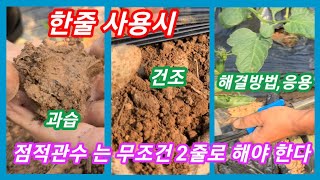 농사 이따구루 질겨? 점적 관수를 1줄 설치시 엄청난 현장검증,관수 응용 무조건 2줄로~ 관주,점적테이프,점…