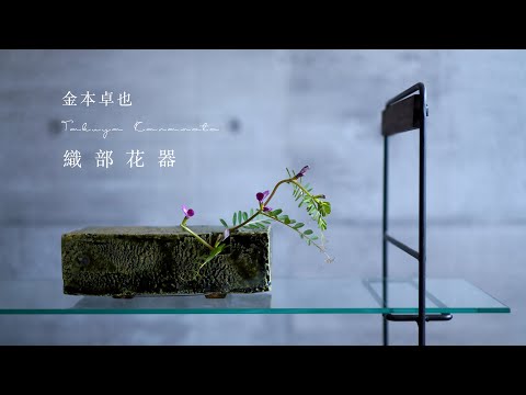 あなたの庭にゴールドフィンチを呼び込むにはどうすればよいですか？ 5つの良いアイデア  庭園