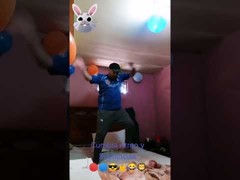 #antofagasta #playa #losdeabajo #funny #cat #realg4life #cumbiavillera #cumbia #carepipa #humor