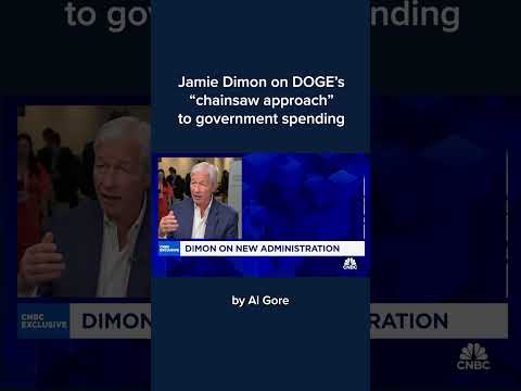 Jamie Dimon on DOGE's 'chainsaw approach' to government spending