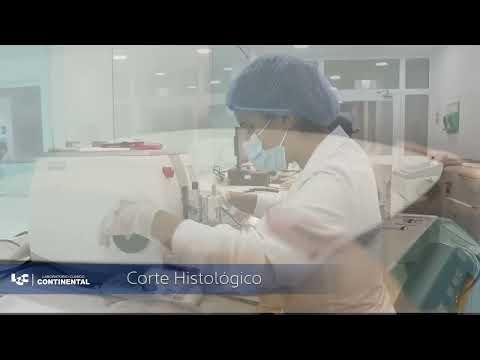 Citología - Patología - Biopsia por congelación - Laboratorio Clínico Continental Barranquilla