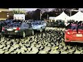 Thousands of black birds - aka grackles - take over parking lot in Houston